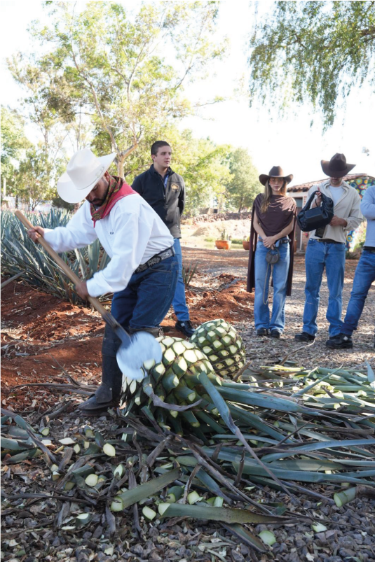 Fiesta en rancho agavero