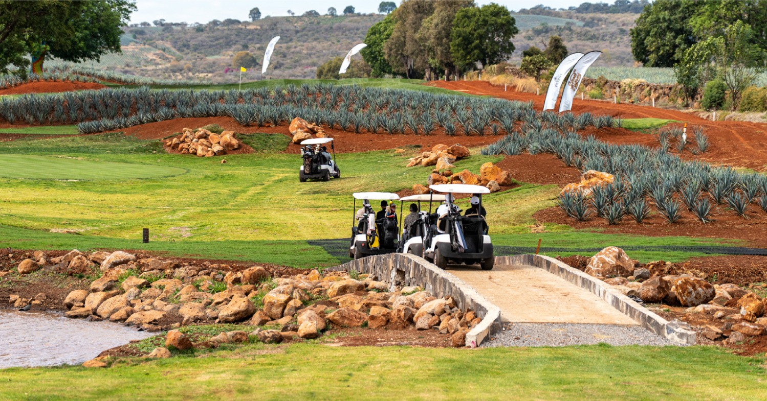 Boda en rancho con vista a los campos de agave