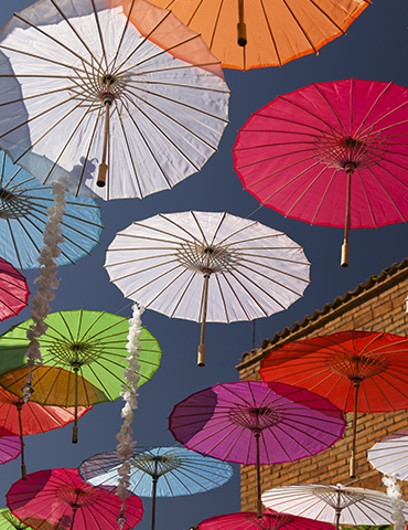 Rancho Agavero en Jalisco